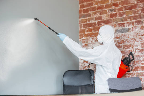 Best HVAC Mold Inspection and Cleaning  in Shorewood, MN