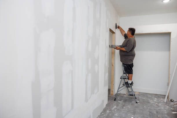 Best Commercial Mold Inspection  in Shorewood, MN
