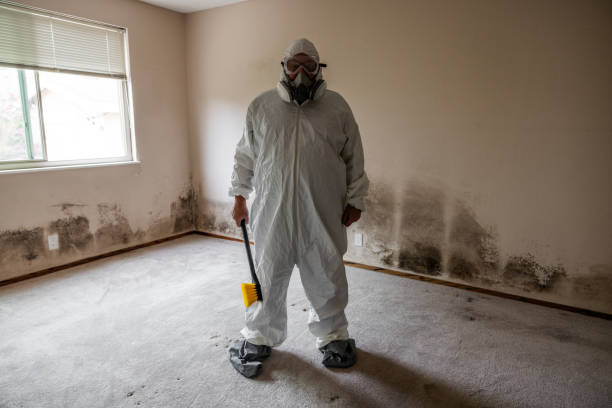 Best Industrial Mold Remediation  in Shorewood, MN
