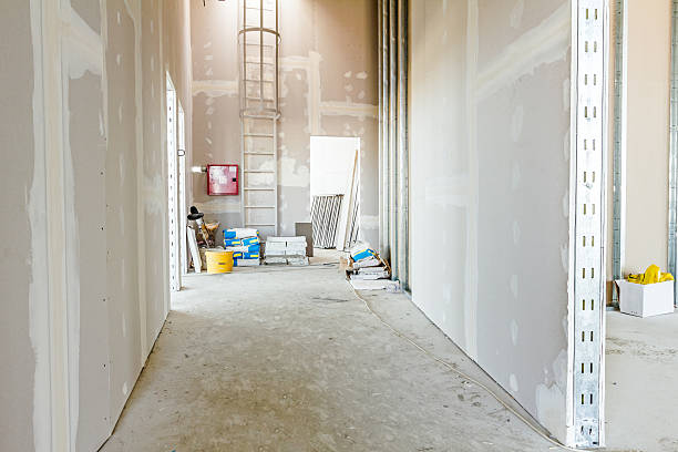Best Attic Mold Removal  in Shorewood, MN