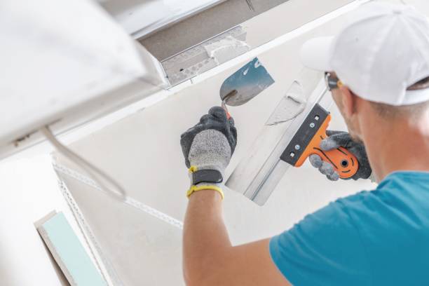 Reliable Shorewood, MN Mold Removal Solutions